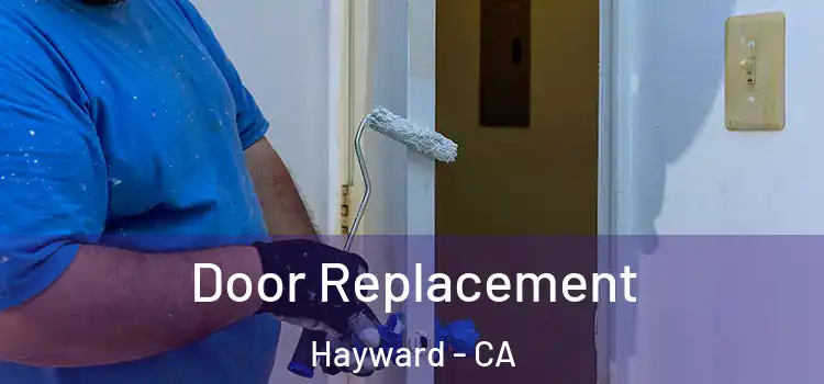  Door Replacement Hayward - CA