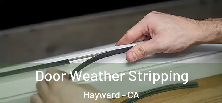  Door Weather Stripping Hayward - CA