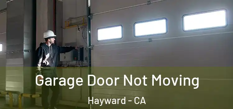  Garage Door Not Moving Hayward - CA