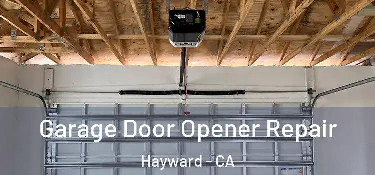  Garage Door Opener Repair Hayward - CA