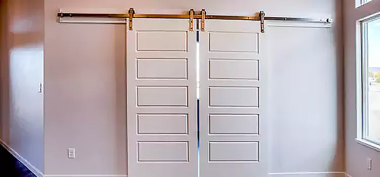 Glass Barn Door with Installation Hardware Kit Hayward